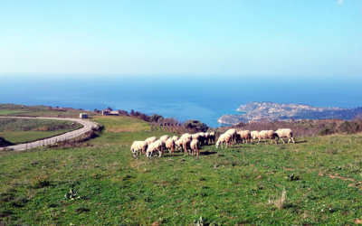 Territorio e gastronomia del Poro