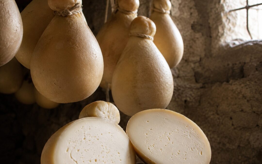 Caciocavallo Silano DOP: il formaggio storico del Sud Italia